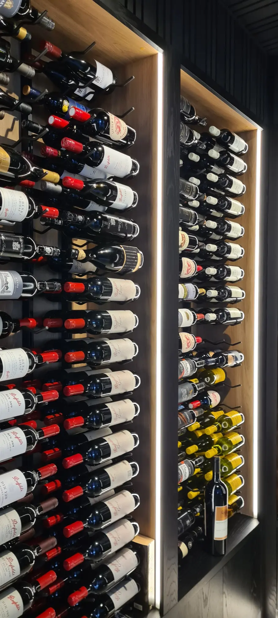 Resized_20230528_105131