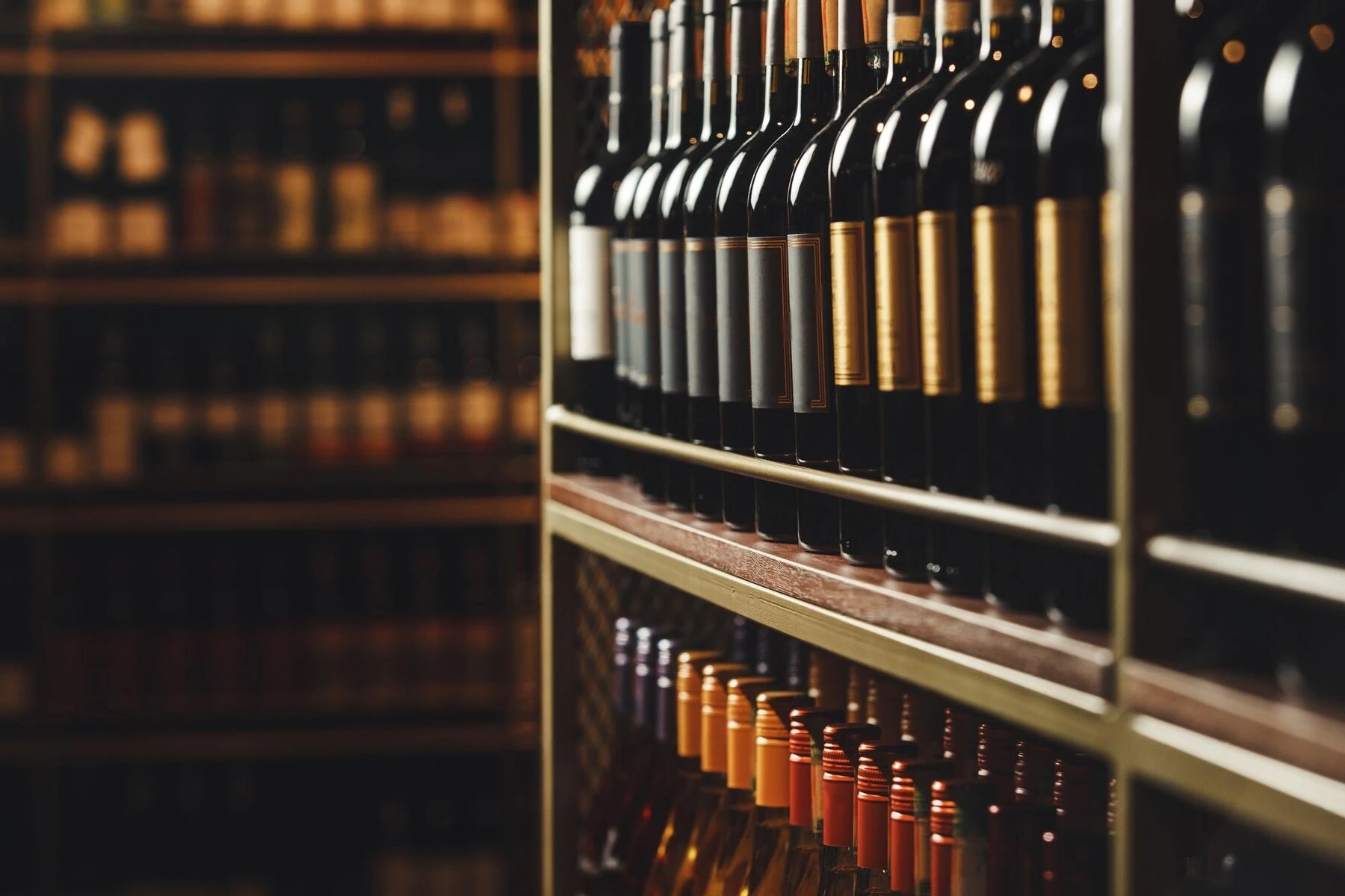 wmremove-transformed (8) (1)